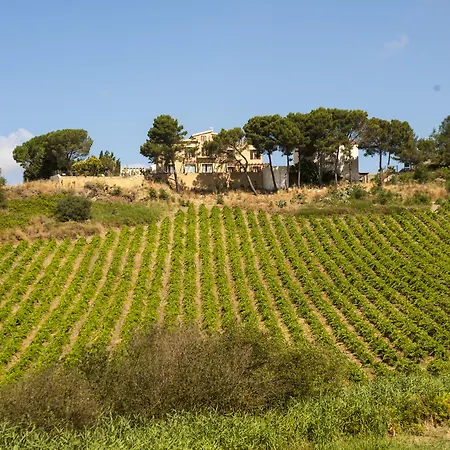 Feudo Del Biviere *
