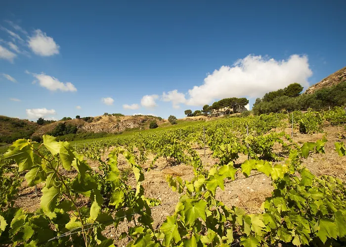 팜스테이 Feudo Del Biviere