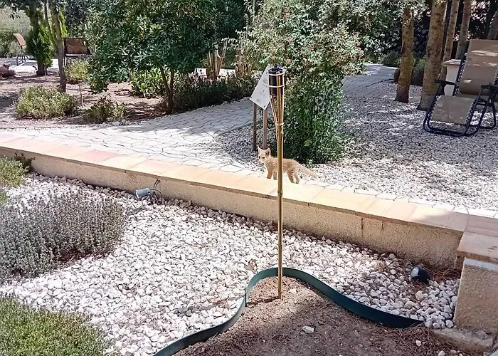 Feudo Del Biviere 팜스테이 Santa Ninfa